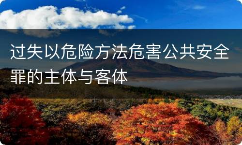 过失以危险方法危害公共安全罪的主体与客体