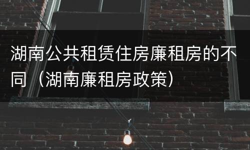湖南公共租赁住房廉租房的不同（湖南廉租房政策）