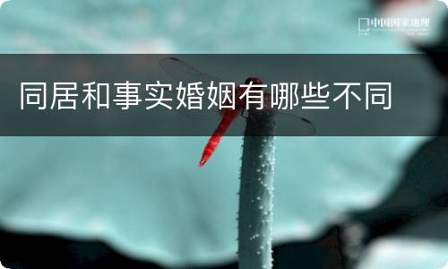 同居和事实婚姻有哪些不同