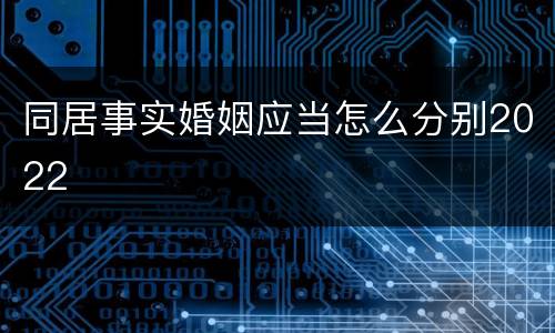 同居事实婚姻应当怎么分别2022