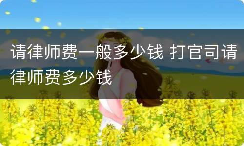 请律师费一般多少钱 打官司请律师费多少钱
