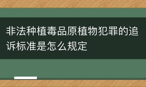 非法种植毒品原植物犯罪的追诉标准是怎么规定