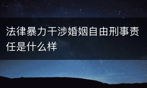 法律暴力干涉婚姻自由刑事责任是什么样