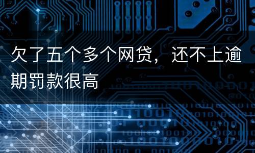 欠了五个多个网贷，还不上逾期罚款很高