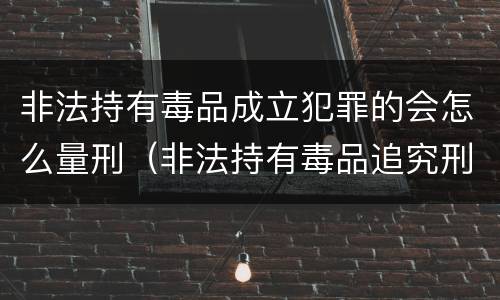 非法持有毒品成立犯罪的会怎么量刑（非法持有毒品追究刑事责任吗）