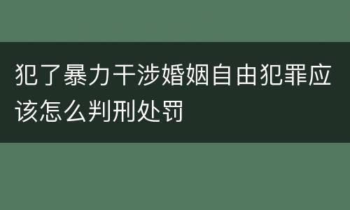 犯了暴力干涉婚姻自由犯罪应该怎么判刑处罚