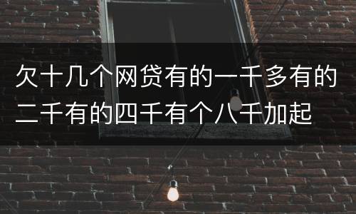 欠十几个网贷有的一千多有的二千有的四千有个八千加起