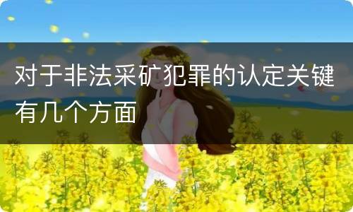 对于非法采矿犯罪的认定关键有几个方面