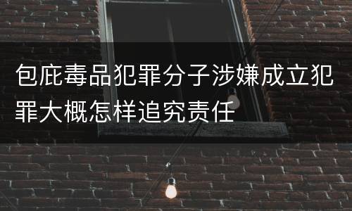 包庇毒品犯罪分子涉嫌成立犯罪大概怎样追究责任