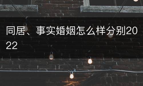 同居、事实婚姻怎么样分别2022