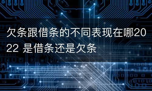 欠条跟借条的不同表现在哪2022 是借条还是欠条