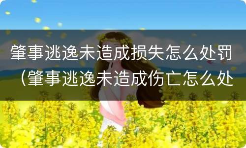 肇事逃逸未造成损失怎么处罚（肇事逃逸未造成伤亡怎么处罚）