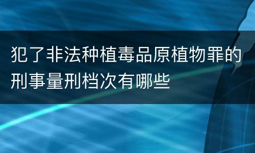 犯了非法种植毒品原植物罪的刑事量刑档次有哪些