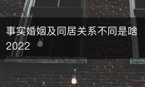 事实婚姻及同居关系不同是啥2022