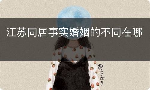 江苏同居事实婚姻的不同在哪