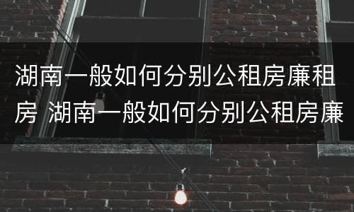 湖南一般如何分别公租房廉租房 湖南一般如何分别公租房廉租房和商品房