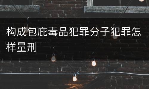 构成包庇毒品犯罪分子犯罪怎样量刑