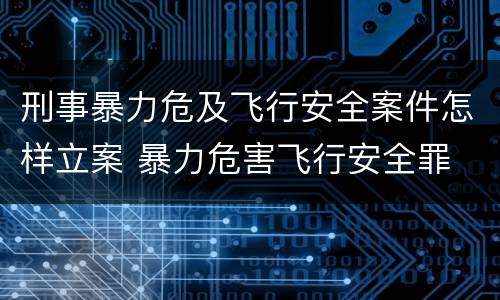 刑事暴力危及飞行安全案件怎样立案 暴力危害飞行安全罪