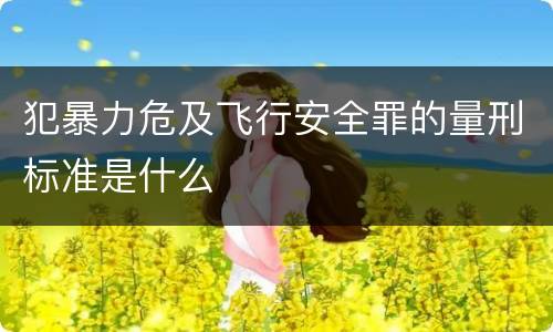 犯暴力危及飞行安全罪的量刑标准是什么