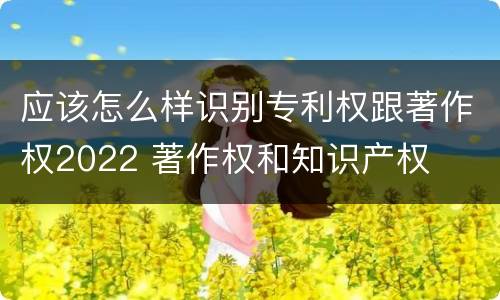 应该怎么样识别专利权跟著作权2022 著作权和知识产权