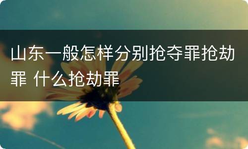 山东一般怎样分别抢夺罪抢劫罪 什么抢劫罪