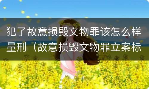 犯了故意损毁文物罪该怎么样量刑（故意损毁文物罪立案标准）