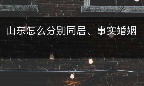 山东怎么分别同居、事实婚姻