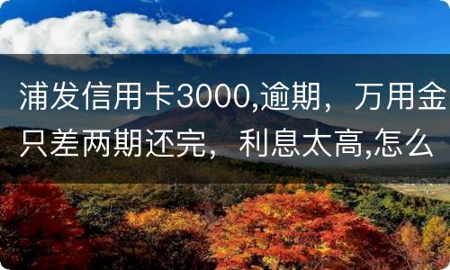 浦发信用卡3000,逾期，万用金只差两期还完，利息太高,怎么处理好