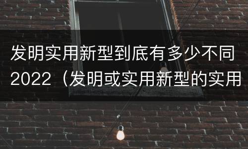 发明实用新型到底有多少不同2022（发明或实用新型的实用性）