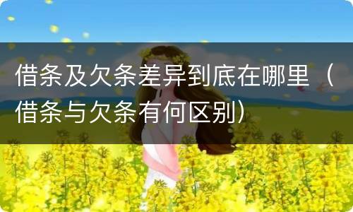 借条及欠条差异到底在哪里（借条与欠条有何区别）