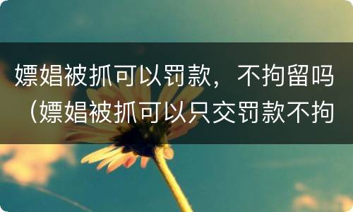 嫖娼被抓可以罚款，不拘留吗（嫖娼被抓可以只交罚款不拘留吗）