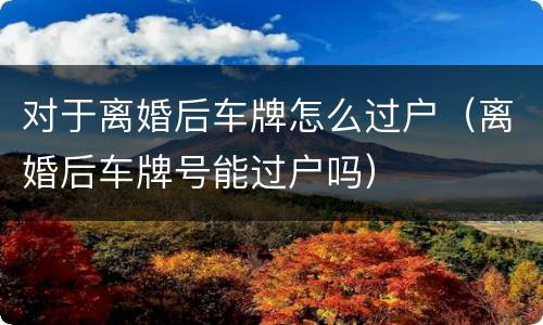 对于离婚后车牌怎么过户（离婚后车牌号能过户吗）