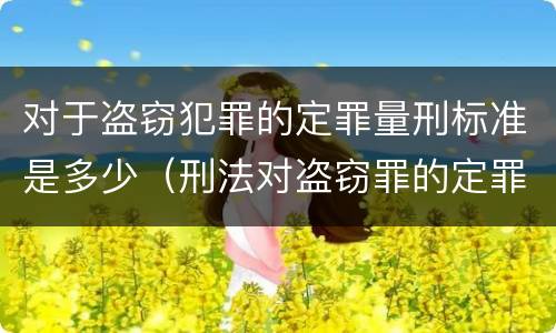 对于盗窃犯罪的定罪量刑标准是多少（刑法对盗窃罪的定罪标准）