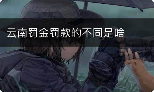 云南罚金罚款的不同是啥