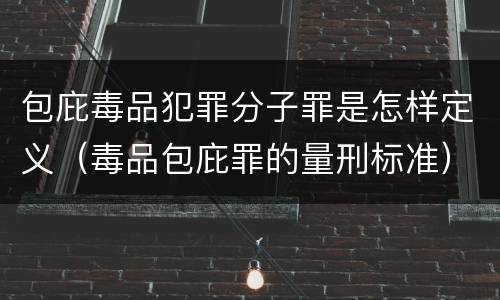 包庇毒品犯罪分子罪是怎样定义（毒品包庇罪的量刑标准）