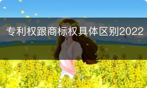 专利权跟商标权具体区别2022