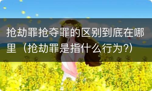 抢劫罪抢夺罪的区别到底在哪里（抢劫罪是指什么行为?）