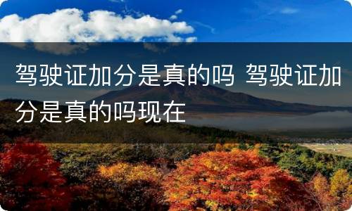 驾驶证加分是真的吗 驾驶证加分是真的吗现在