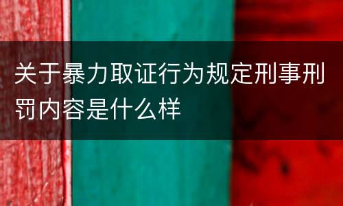 关于暴力取证行为规定刑事刑罚内容是什么样