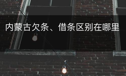 内蒙古欠条、借条区别在哪里