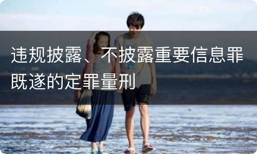 违规披露、不披露重要信息罪既遂的定罪量刑