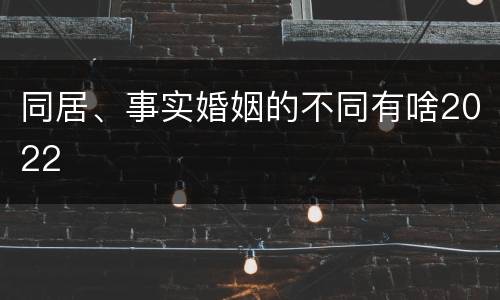 同居、事实婚姻的不同有啥2022