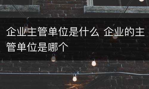 企业主管单位是什么 企业的主管单位是哪个