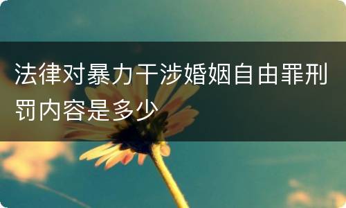 法律对暴力干涉婚姻自由罪刑罚内容是多少