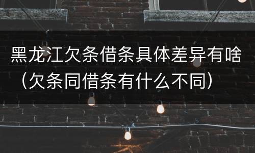 黑龙江欠条借条具体差异有啥（欠条同借条有什么不同）