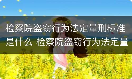 检察院盗窃行为法定量刑标准是什么 检察院盗窃行为法定量刑标准是什么