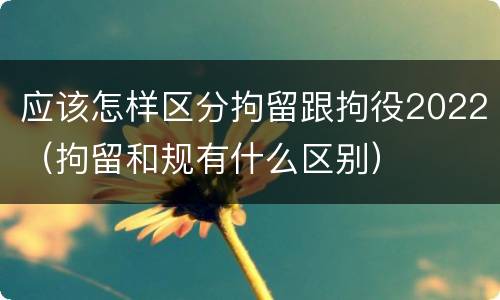 应该怎样区分拘留跟拘役2022（拘留和规有什么区别）