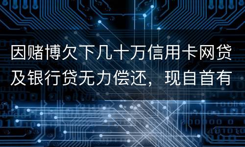 因赌博欠下几十万信用卡网贷及银行贷无力偿还，现自首有什么后果