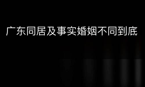 广东同居及事实婚姻不同到底