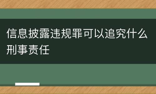 信息披露违规罪可以追究什么刑事责任